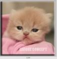 /album/photo-gallery-canvas-uri/decoratiuni-de-perete-canvas-lc-1194-jpg/
